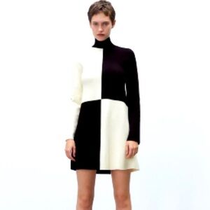 Zara Turtleneck Sweater Dress